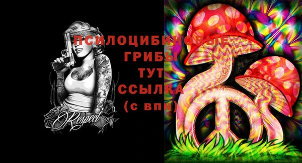 МДМА Куйбышев