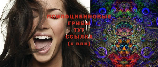прущие крисы Ладушкин