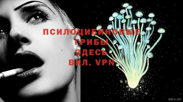 амф Лабытнанги