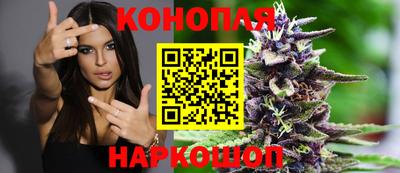 кокс Обь