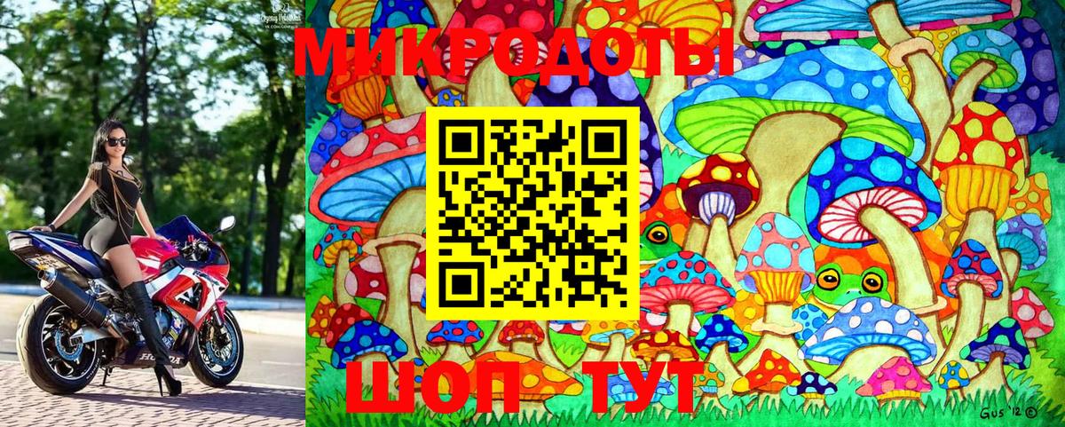 Галлюциногенные грибы Psilocybe Тейково