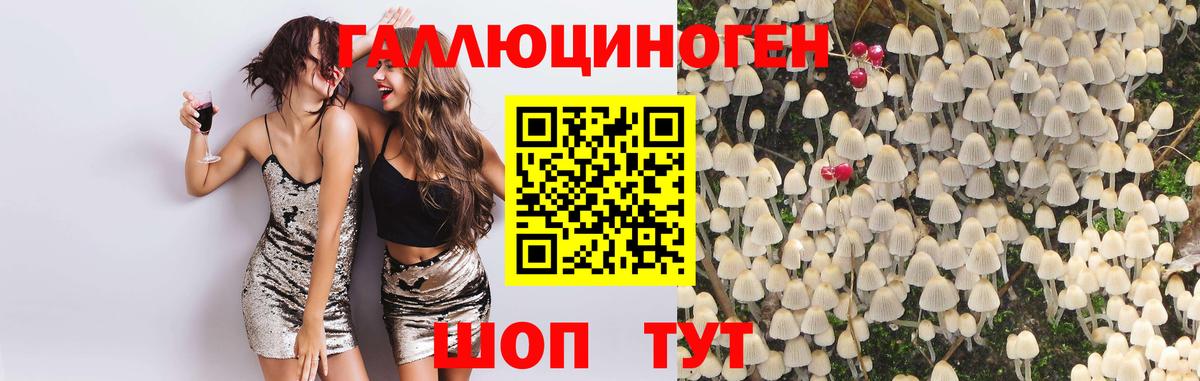 Тейково  Галлюциногенные грибы мицелий  Вход с VPN 