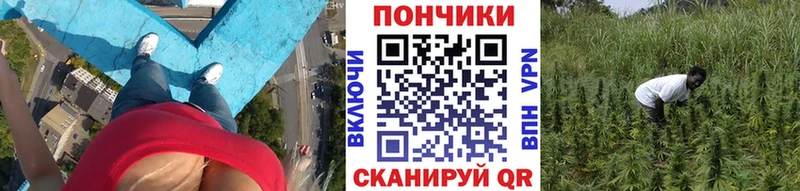 Канабис гибрид  Тейково 